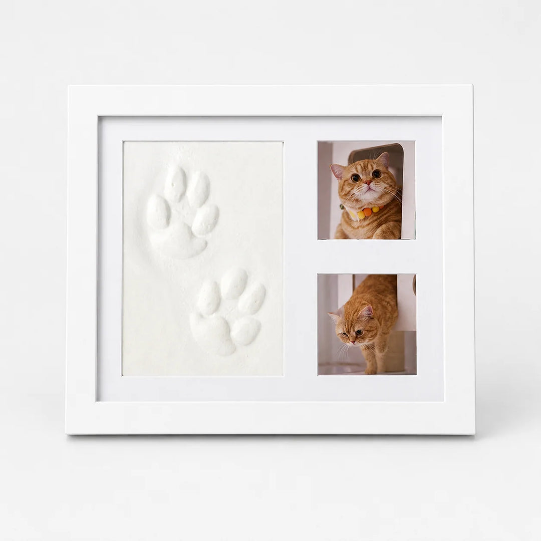 Littlecast – Silver Paw Print Photo Frame Kit 0