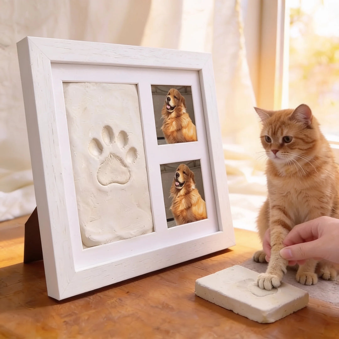 Littlecast – Silver Paw Print Photo Frame Kit 3