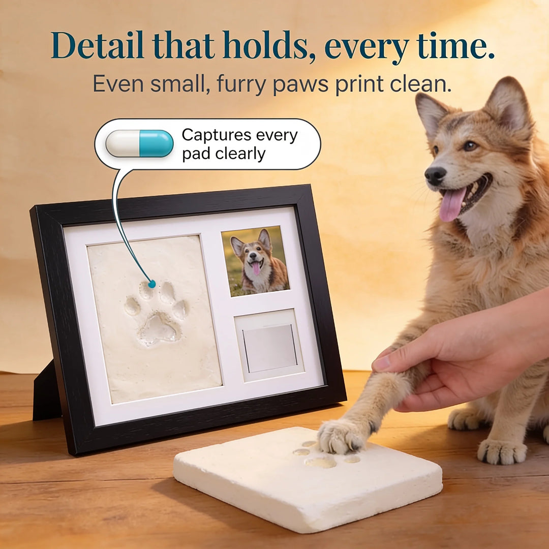 Littlecast – Silver Paw Print Photo Frame Kit 5