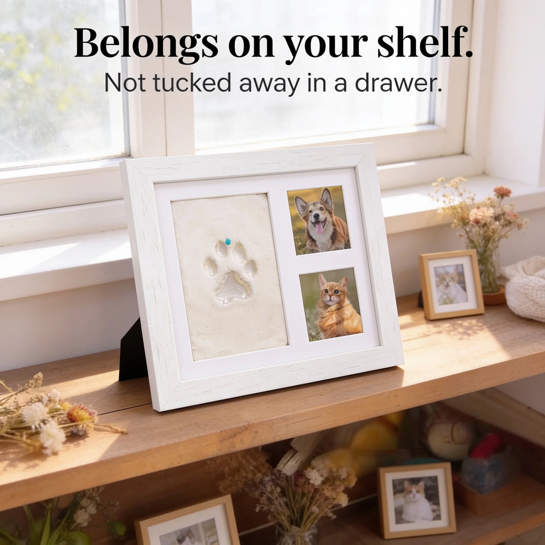 Littlecast – Silver Paw Print Photo Frame Kit 7