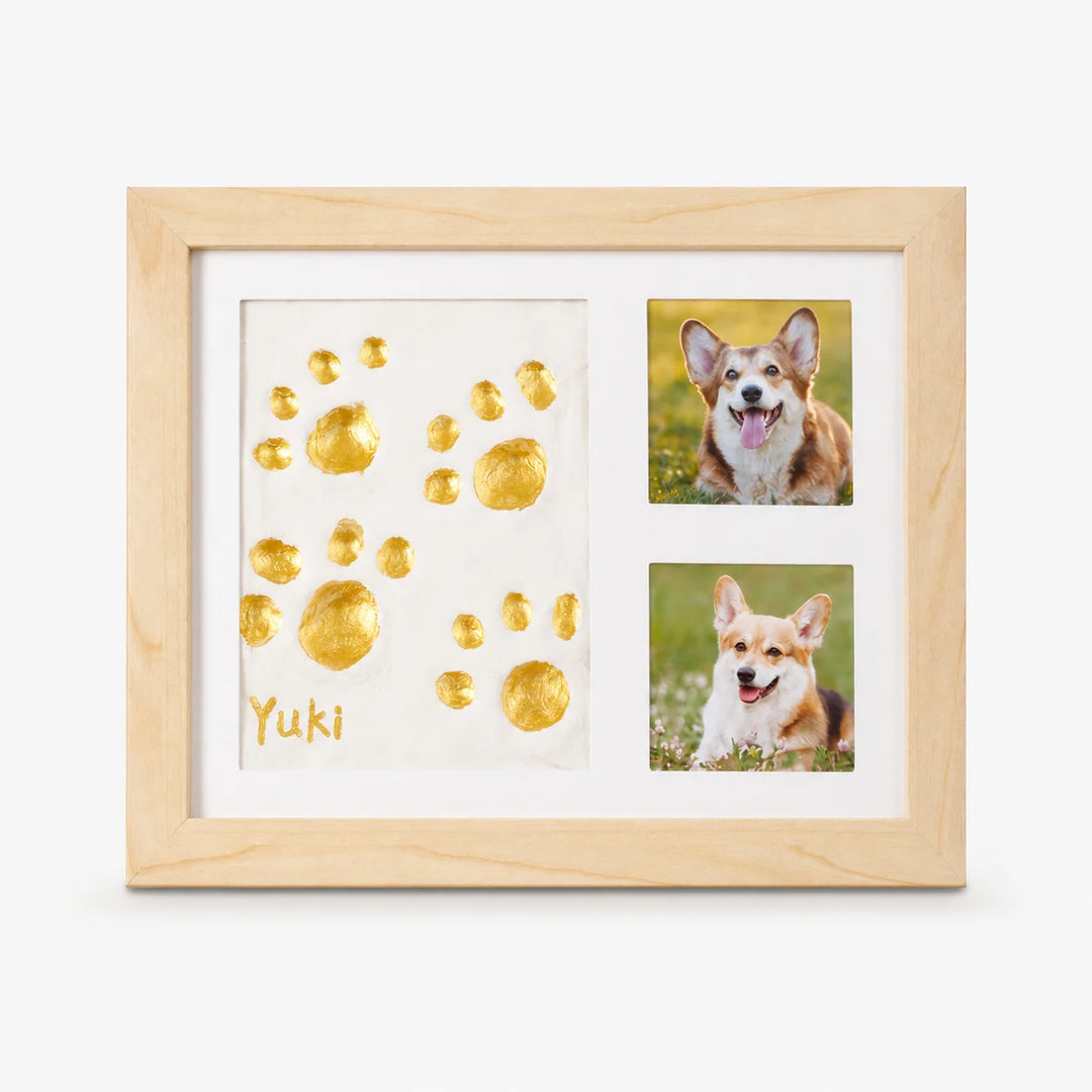 Littlecast – Silver Paw Print Photo Frame Kit 9